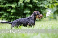Rogenwieser_2018_07_076