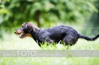 Rogenwieser_2018_07_077