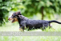 Rogenwieser_2018_07_078