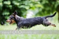 Rogenwieser_2018_07_079