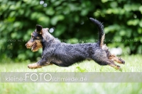 Rogenwieser_2018_07_081