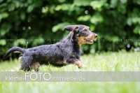 Rogenwieser_2018_07_083