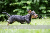 Rogenwieser_2018_07_084