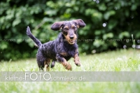 Rogenwieser_2018_07_086