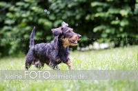 Rogenwieser_2018_07_087