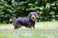 Rogenwieser_2018_07_088