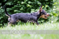 Rogenwieser_2018_07_094