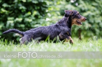 Rogenwieser_2018_07_095