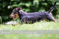 Rogenwieser_2018_07_096