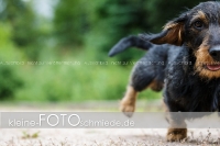 Rogenwieser_2018_07_098