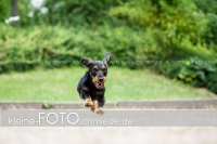Rogenwieser_2018_07_099
