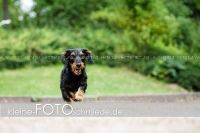 Rogenwieser_2018_07_100