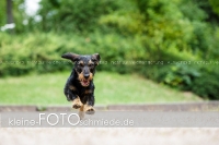 Rogenwieser_2018_07_101