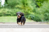 Rogenwieser_2018_07_102
