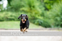 Rogenwieser_2018_07_103
