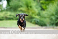 Rogenwieser_2018_07_104