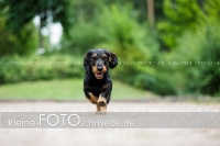 Rogenwieser_2018_07_105