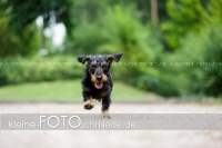 Rogenwieser_2018_07_106