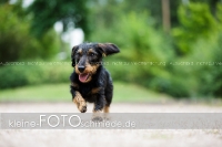 Rogenwieser_2018_07_107