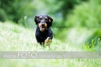 Rogenwieser_2018_07_110