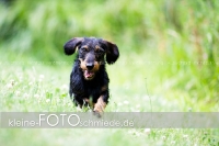 Rogenwieser_2018_07_115